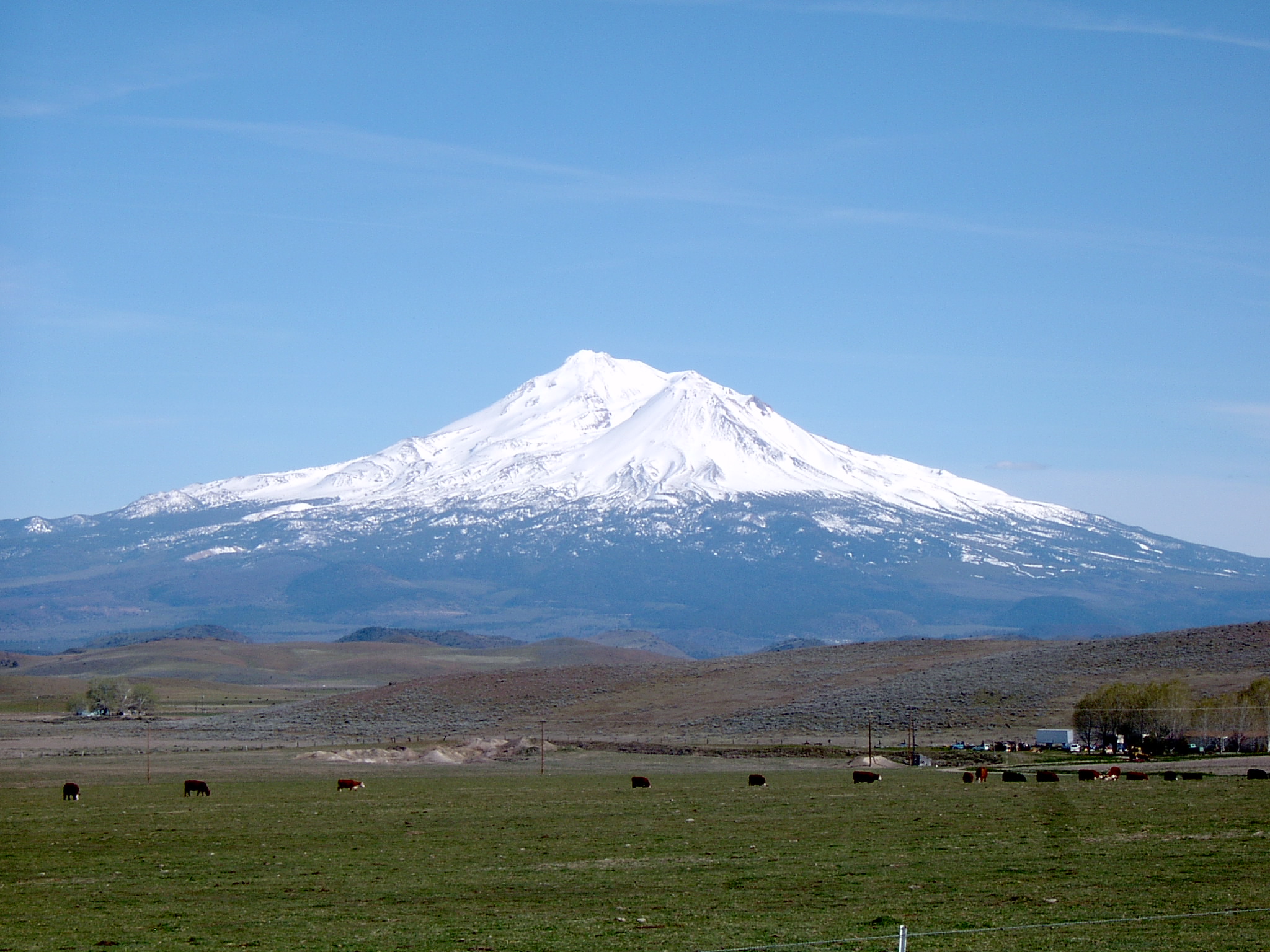 Mt. Shasta